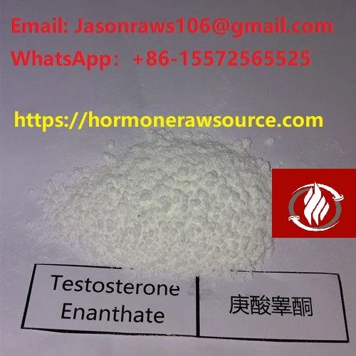 Testosterón Enanthate prášok pre kulturistiku CAS:315-37-7