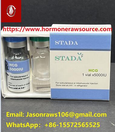 STADA Premium ľudský choriový gonadotropín (HCG) 5000iu/liek pre kulturistiku CAS:9002-61-3